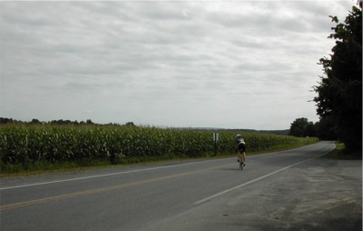 Cornfield in the Roundout valley